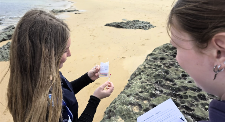 image of students collecting samples at the beach