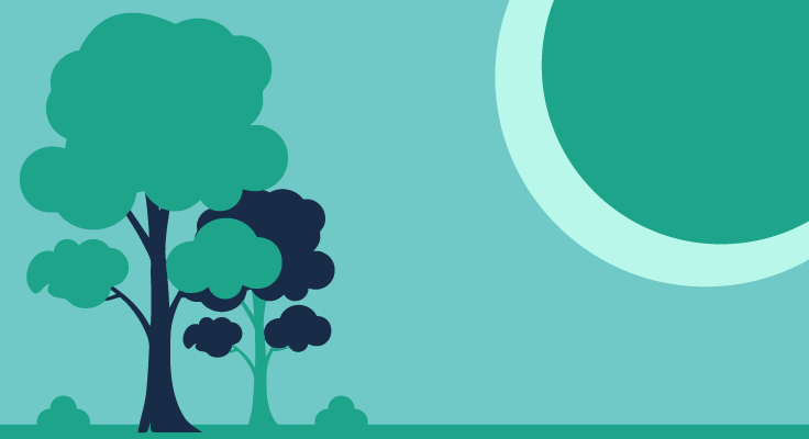 Illustration of trees on light teal background
