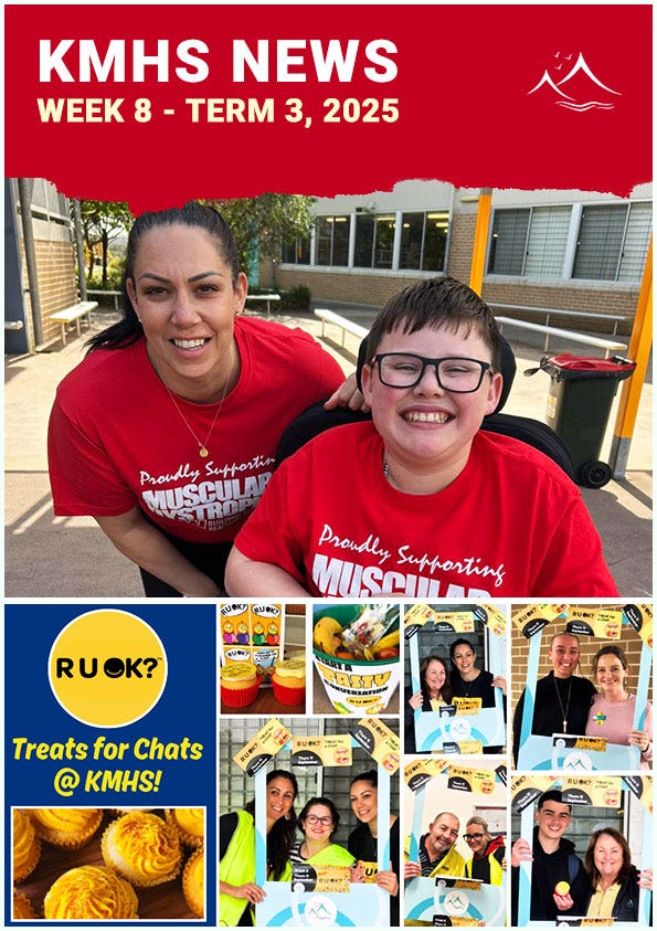 Newsletter preview collage Week 8